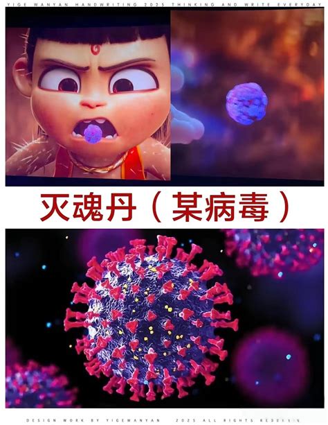 登打的意思|真打是什么意思